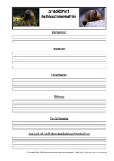 Gelbbauchmurmeltier-Steckbriefvorlage.pdf